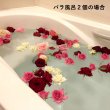 画像3: バラ風呂 (3)